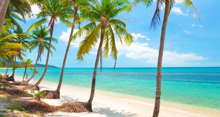 Thailand Inselhopping: Palm Trees & Ocean Breeze - journaway DACH 2