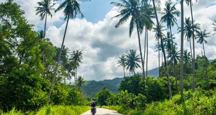 Thailand Inselhopping: Palm Trees & Ocean Breeze - journaway DACH 5