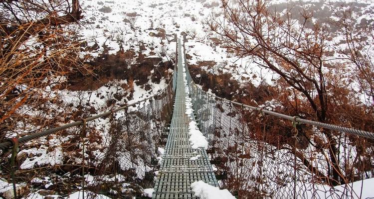 Trek Langtang Gosaikunda - AlpWander Adventures Pvt. Ltd. 3