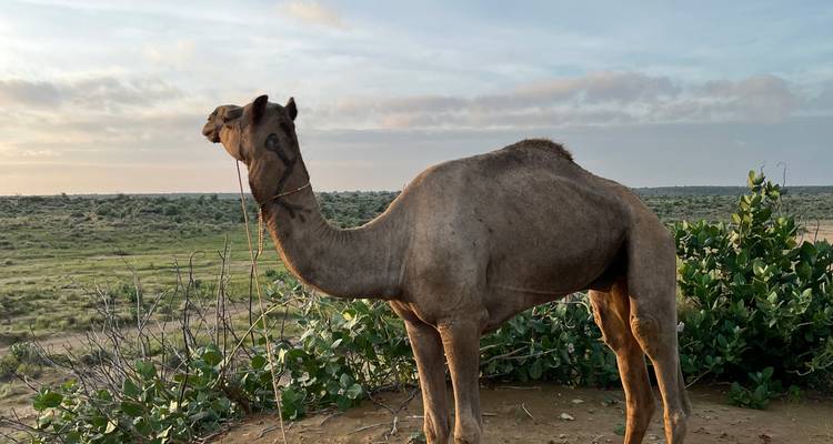 North India Desert Expedition - BeMetravels  2