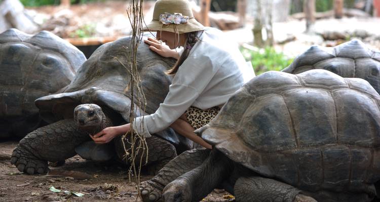 Zanzíbar: 7 días de vacaciones de playa y safari, aventura en la Reserva de Caza Selous - Beach and Safari Holidays 1