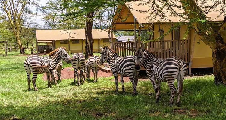Au départ de Zanzibar, 8 jours d'exploration des îles tropicales et de safari dans le Tarangire et le Ngorongoro. - Beach and Safari Holidays 10