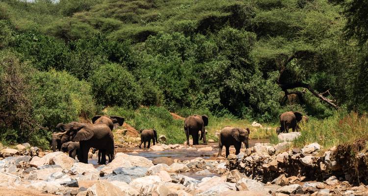 Au départ de Zanzibar, 8 jours d'exploration des îles tropicales et de safari dans le Tarangire et le Ngorongoro. - Beach and Safari Holidays 9