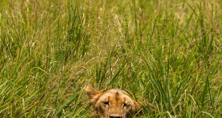 Au départ de Zanzibar, 8 jours d'exploration des îles tropicales et de safari dans le Tarangire et le Ngorongoro. - Beach and Safari Holidays 2