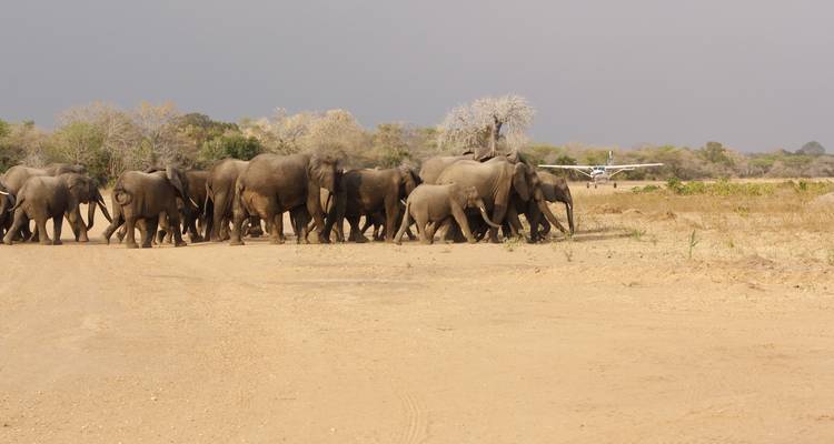 From Zanzibar to Selous  8 days : Selous Game Reserve safari trip and Tropical island experience - Beach and Safari Holidays 1