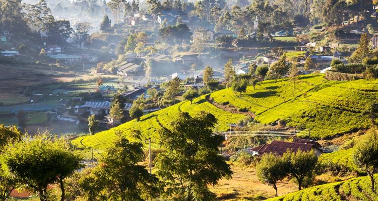 Sri Lanka on a Shoestring - Encounters Travel 5