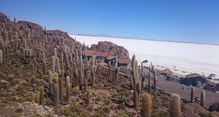 11 días de cultura y naturaleza boliviana desde Santa Cruz - Responsible Travel South America 6