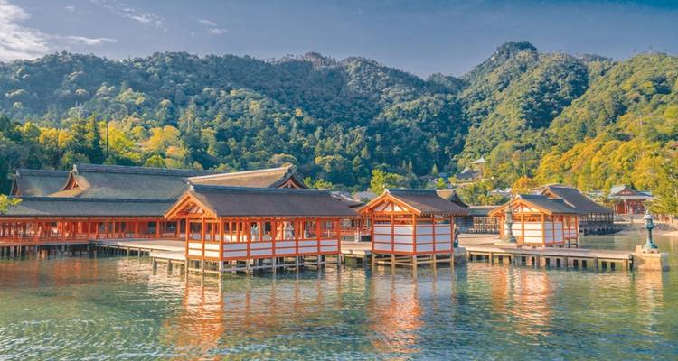 Expédition de 20 jours de Tokyo à Kyushu (guide et chauffeur privés) - UME Travel Co. Ltd 4