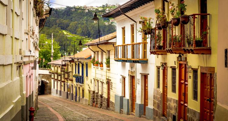 11 jours autour de l'Équateur :  Un voyage à travers la nature et la culture - Responsible Travel South America 2