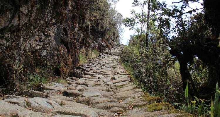 4 días Camino Inca a Machu Picchu - Servicio privado - Valencia Travel Cusco 2