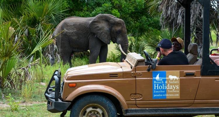 Vacaciones de safari de 10 días en la playa de Zanzíbar y la Reserva de Caza Selous - Beach and Safari Holidays 3