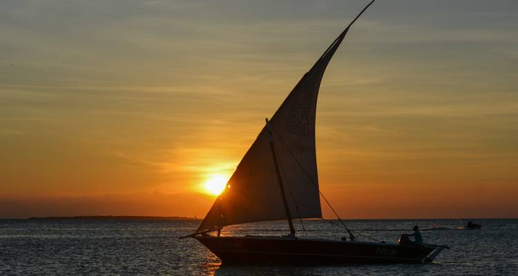 Vacaciones de safari de 10 días en la playa de Zanzíbar y la Reserva de Caza Selous - Beach and Safari Holidays 4
