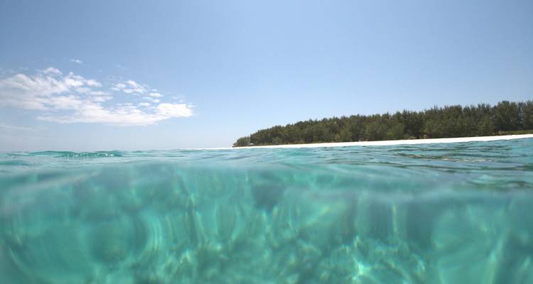 Au départ de Zanzibar, forfait familial de 11 jours pour le safari à Zanzibar et dans la réserve de gibier de Selous - Beach and Safari Holidays 2