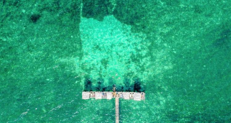 Au départ de Zanzibar, forfait familial de 11 jours pour le safari à Zanzibar et dans la réserve de gibier de Selous - Beach and Safari Holidays 4