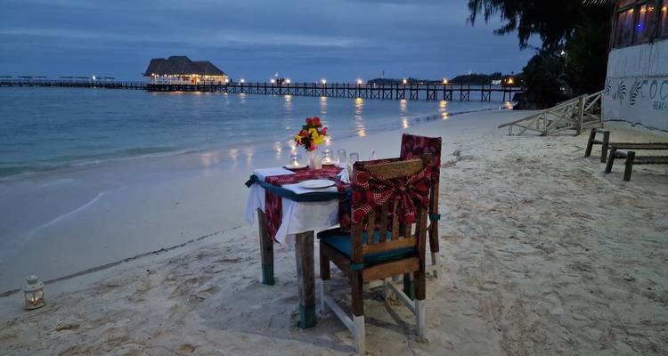 Au départ de Zanzibar, forfait familial de 11 jours pour le safari à Zanzibar et dans la réserve de gibier de Selous - Beach and Safari Holidays 7