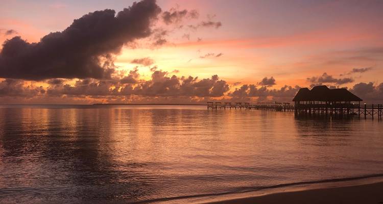 Au départ de Zanzibar, forfait familial de 11 jours pour le safari à Zanzibar et dans la réserve de gibier de Selous - Beach and Safari Holidays 9
