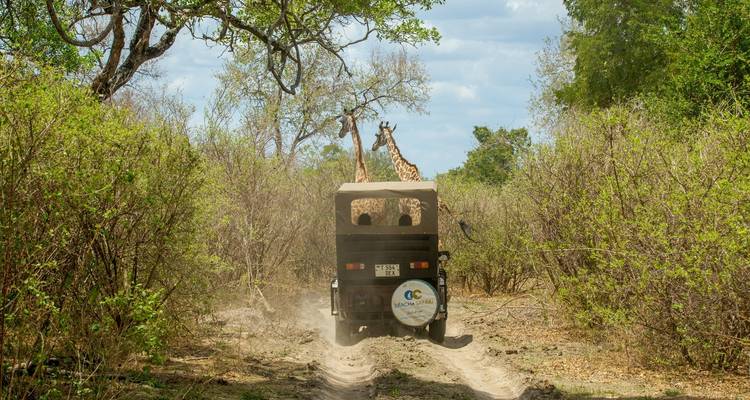 Au départ de Zanzibar, forfait familial de 11 jours pour le safari à Zanzibar et dans la réserve de gibier de Selous - Beach and Safari Holidays 10