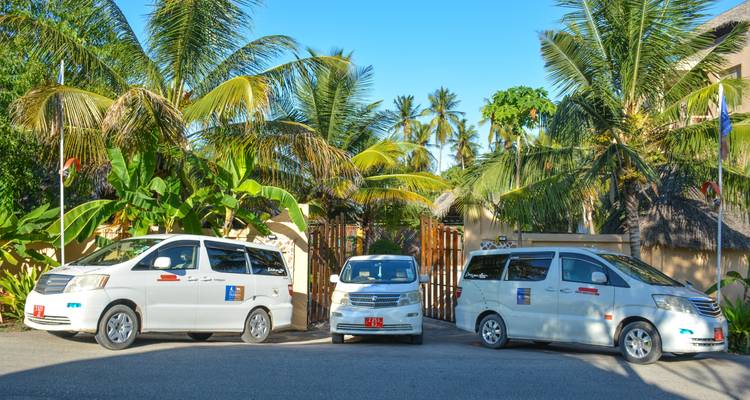 De Arusha a Zanzíbar : 12 días Lo mejor de dos mundos, las vacaciones definitivas de playa y safari : Tarangire, L.Manyara, Serengeti - Beach and Safari Holidays 10
