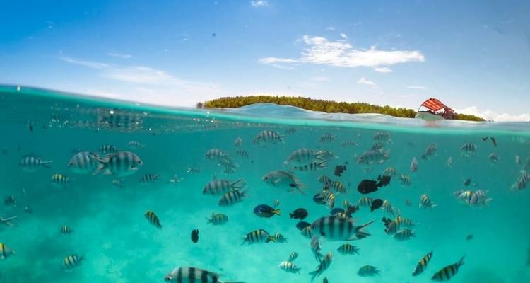 De Zanzibar à Selous : 13 jours de plage et de safari - Beach and Safari Holidays 4