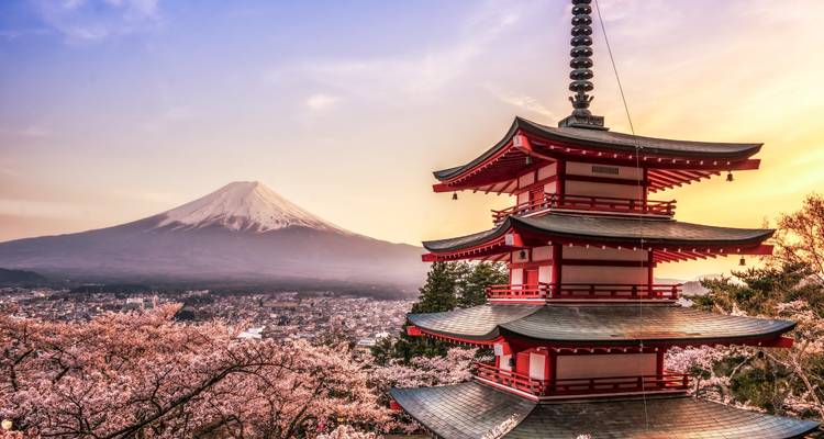 9 Days Best of Japan Tour (Private Guide & Driver） - UME Travel Co. Ltd 1