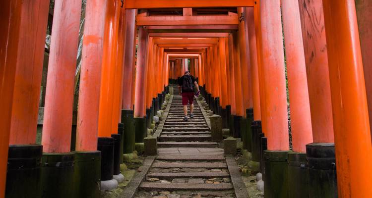 9 Days Best of Japan Tour (Private Guide & Driver） - UME Travel Co. Ltd 3