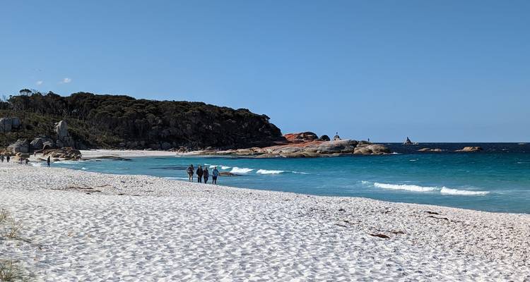 Discovery 6 - Excursión de 6 días por Tasmania con todas las comodidades - Under Down Under Tours 10