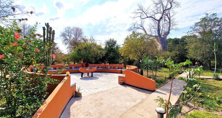 Desde Zanzíbar: 2 días de safari en Selous de día completo - Beach and Safari Holidays 10