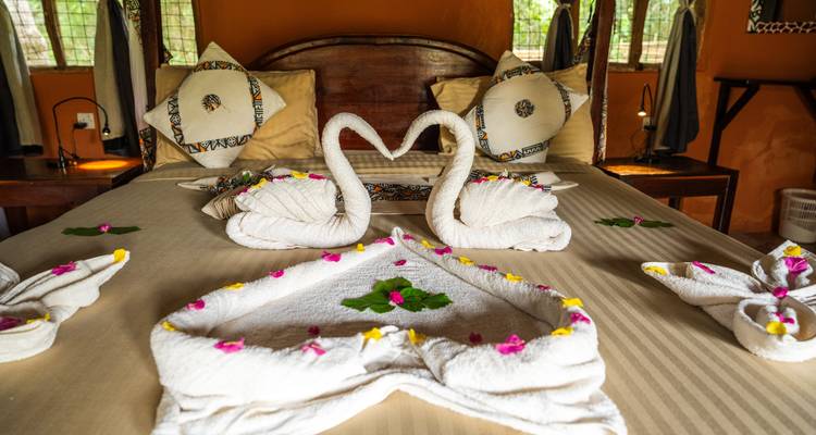 Desde Zanzíbar: 2 días de safari en Selous de día completo - Beach and Safari Holidays 8