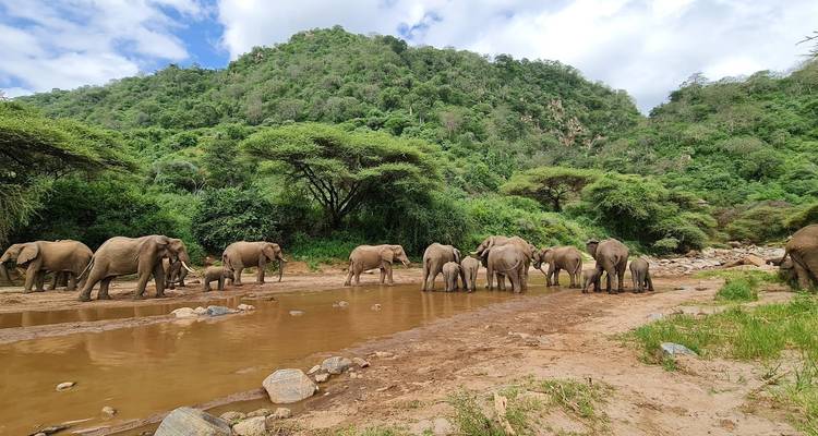 From Zanzibar: 2 Days Safari Northern Circuit with Flights - Beach and Safari Holidays 4