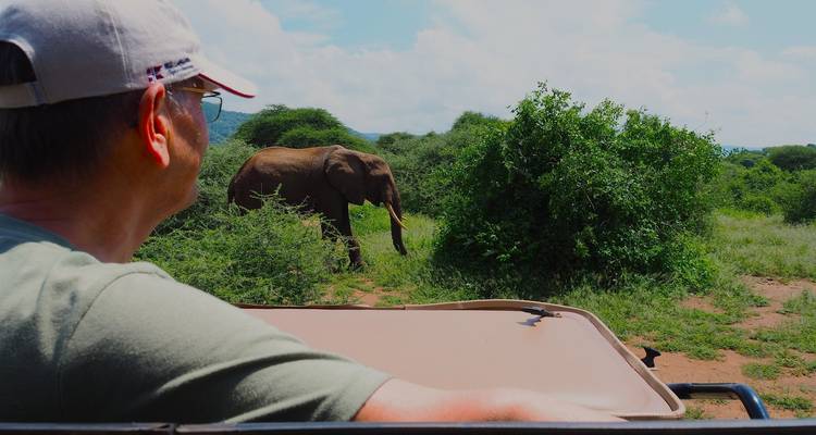 From Zanzibar: 2 Days Safari Northern Circuit with Flights - Beach and Safari Holidays 2