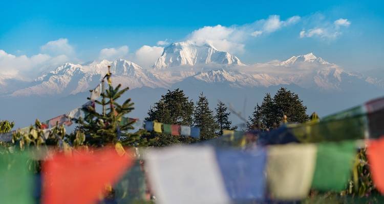 Trek de Ghorepani-Poon Hill - AlpWander Adventures Pvt. Ltd. 4