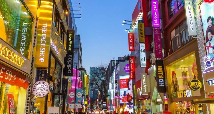 13 Días Viaje Cultural Japón y Corea del Sur (guía y conductor privados） - UME Travel Co. Ltd 5