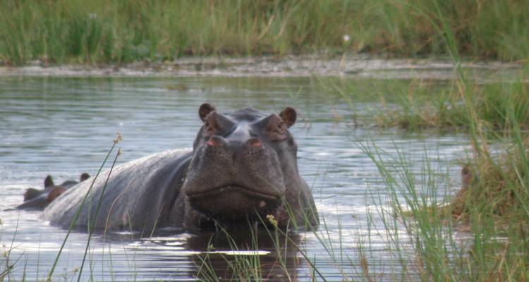 Safari de 3 jours dans le parc national Kruger (Big 5) - The Mzansi Experience 8