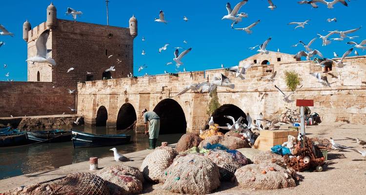 Lebendige Szene in einem Hafen von Essaouira mit Möwen und Fischern.