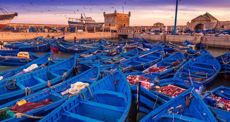 Bunte Boote liegen im Hafen von Essaouira unter einem lebendigen Himmel vor Anker.