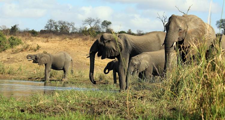 Safari de 4 jours dans le parc national Kruger pour observer les Big 5 et la Route des Panoramas - The Mzansi Experience 3
