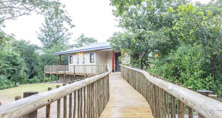 Safari de 4 jours dans le parc national Kruger pour observer les Big 5 et la Route des Panoramas - The Mzansi Experience 9