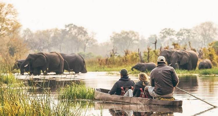 Touristes dans un canoë observant des éléphants près de l'eau.