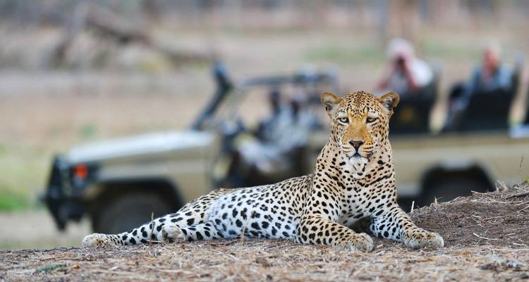 Victoria Falls 3 Day Adventure Package - Jollic Adventure Tour 1