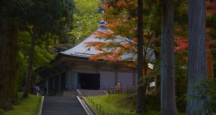 11 Days Tokyo & Tohoku Classic Tour  (private guide & driver） - UME Travel Co. Ltd 3