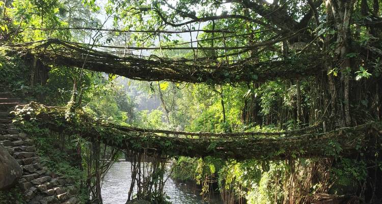 Viaje al Triángulo de Oro con el Noreste de la India - GoBook India Tours 1
