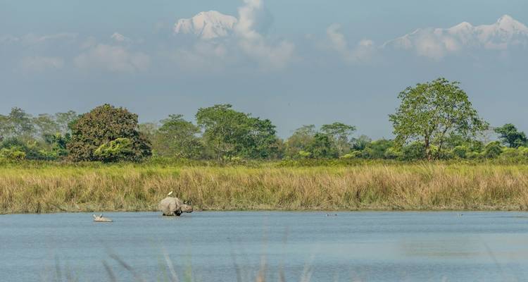Viaje al Triángulo de Oro con el Noreste de la India - GoBook India Tours 3