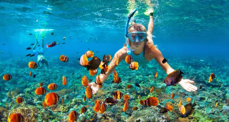 From Luxor: Snorkeling Day Tour at Utopia Island in Safaga - Egypt Gift Tours 7