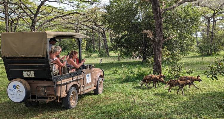 Desde Zanzíbar: Safari de 3 días por Selous con vuelos - Beach and Safari Holidays 2