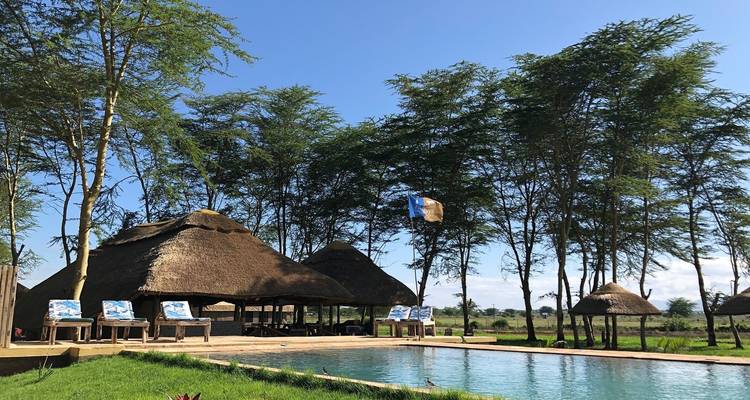 From Zanzibar: 4 Days Safari & Relaxation Retreat Tarangire, Ngorongoro,Manyara N.P - Beach and Safari Holidays 7