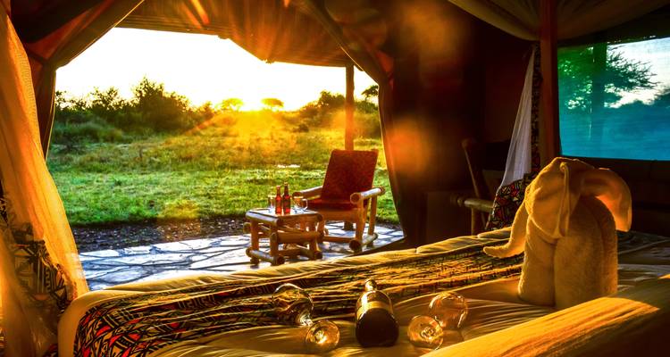 From Zanzibar: 4 Days Serengeti Safari trip experience - Beach and Safari Holidays 10