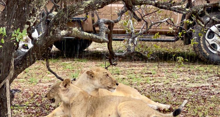 De Zanzíbar a Selous G.R : 4 Días de Safari Maravillas: 2 días completos de safari y 3 excursiones - Beach and Safari Holidays 7