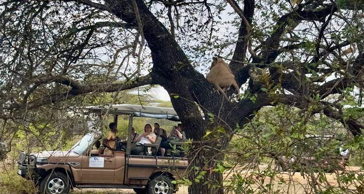 De Zanzíbar a Selous G.R : 4 Días de Safari Maravillas: 2 días completos de safari y 3 excursiones - Beach and Safari Holidays 8