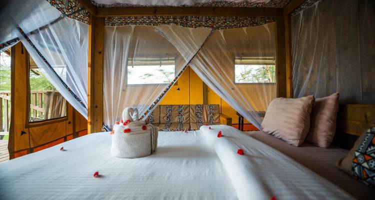 Au départ de Zanzibar : 5 jours de safari et de retraite au bord d'un lac, en formule tout compris, dans le parc national du Nord - Beach and Safari Holidays 9