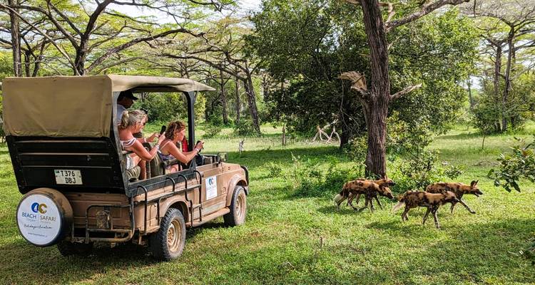 De Zanzíbar a Selous G.R: 5 días de Escapada a la Naturaleza: 3 días completos de safari en coche y excursiones - Beach and Safari Holidays 4